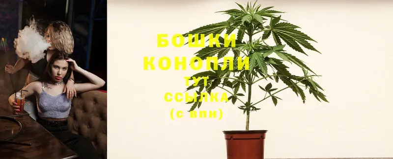 где купить наркотик  Заинск  Бошки Шишки SATIVA & INDICA 